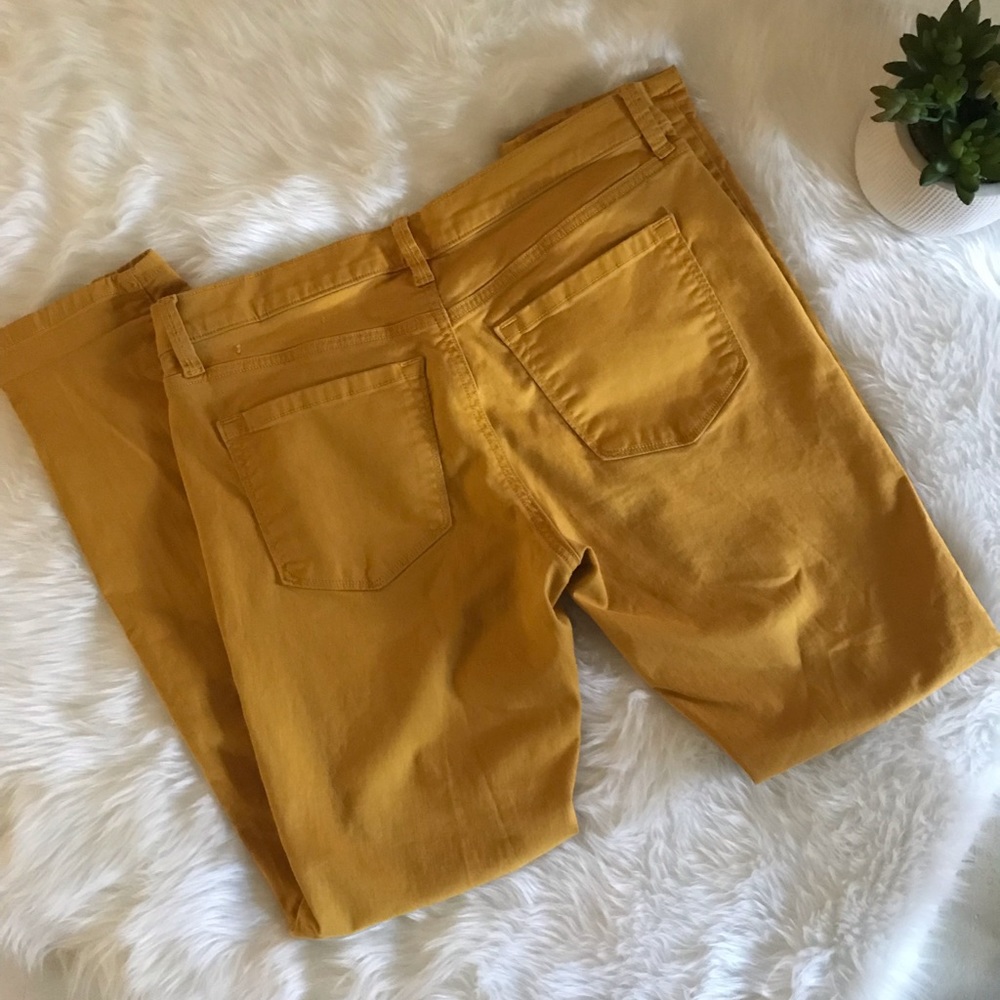 Mustard Loft Modern Skinny Jeans